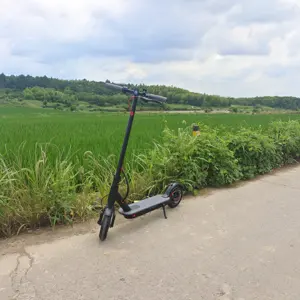 Self Balancing Foldable 350 8.5 Inch Wheels Powerful Adults Kids Use 30km/h Max Speed Unisex Electronic Scooter