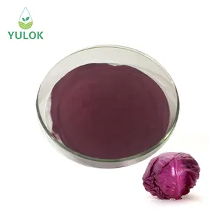 Food Grade 100% Natural High Quality Plant Extracts Purple Cabbage Powder for Food Industry