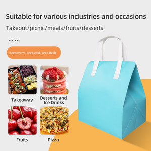 Wanli mẫu miễn phí biểu tượng tùy chỉnh kích thước không dệt nhôm lá cách điện Hộp Ăn Trưa Dã Ngoại Tote hàng tạp hóa nhiệt mua sắm Túi lạnh - Product Image 3