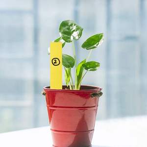 علامات نباتات الحديقة المقاومة للماء 2X10CM 5 ألوان من البلاستيك علامات حدائق الحضانة ملصقات الحديقة علامات حصص النباتات - Product Image 3