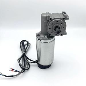 100W 60W 55W 180转/分200转/分220转/分自动门操作员德国电机24v直流拉丝电机滑动门 - Product Image 6