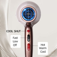 Sèche-cheveux professionnel 2000W Usine OEM Salon Ionique Salon professionnel Sèche-cheveux avec diffuseur