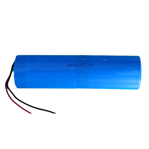 RUIZHI <strong>D</strong> Cell Battery <strong>Lithium</strong> ER34615 19000mAh 3.6V Non Rechargeable for Wireless Gas Detection Device - Product Image 5