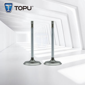 53020747AB Soupape d'admission de pièces automobiles de qualité supérieure pour Chrysler LIBERTY,NITRO 3.7L 6CL 12V 3704-AC <span class=keywords><strong>Fiat</strong></span> 500L/500X/<span class=keywords><strong>500</strong></span> 12-16 - Product Image 1