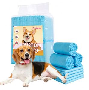 2026 Les plus populaires : Tapis de propreté absorbants et anti-fuites pour chiens, jetables, pour l'apprentissage de la propreté, 60*60cm, pour chiens et chiots - Product Image 1