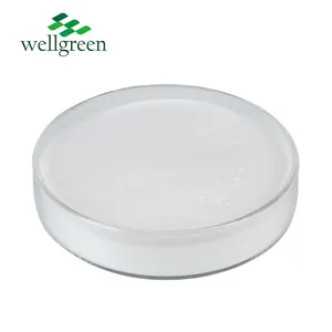 Wellgreen USP เกรด 99% สังกะสี Glycinate CAS 7214-08-6 30% ผงสังกะสี