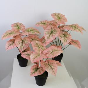 Di vendita caldo della decorazione della casa 50cm artificiale rosa foglie di colore caladium pianta in vaso - Product Image 4