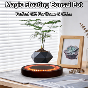 Pot à Bonsaï à Lévitation Magnétique, Ornement de Bureau, Pot de Plante Flottant, Décoration Zen Minimaliste - Product Image 2
