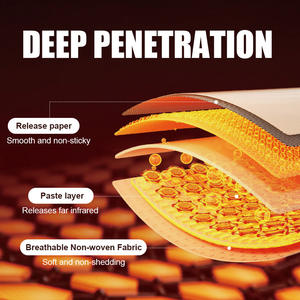 สมุนไพรบรรเทาอาการปวดกล้ามเนื้อจากประเทศจีนบรรเทาอาการปวดบวม - Product Image 2