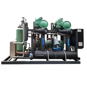 Conjunto de refrigeração de 2 compressores, unidade de refrigeração de quarto baixa 40hp com parafuso compressor, unidade condensadora de refrigeração a ar