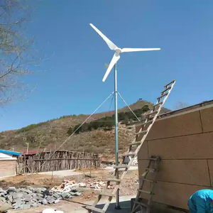 Generador Eólico de Imán Permanente de Alta Calidad de 1000W 2000W 3000W, Salida de CA Trifásica de 48V/96V/120V, Híbrido Eólico Solar Gratuito - Product Image 4