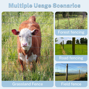 Clôture en fil métallique durable galvanisé à haute résistance avec articulations à charnière pour les élevages de bovins, de moutons et de cerfs - Product Image 4