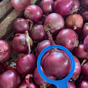 Oignons rouges frais non pelés en vrac, bulbes ronds uniformes, tri couleur strict pour les détaillants d'épicerie haut de gamme - Product Image 2