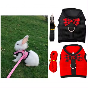 Arnés pequeño <span class=keywords><strong>para</strong></span> mascotas al aire libre, conjunto de chaleco y correa con decoración de lazo, arnés de correa <span class=keywords><strong>para</strong></span> el pecho <span class=keywords><strong>para</strong></span> Conejo, Hurón, conejillo de indias, hámster - Product Image 2