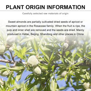 <span class=keywords><strong>Aceite</strong></span> <span class=keywords><strong>de</strong></span> <span class=keywords><strong>Almendras</strong></span> <span class=keywords><strong>Dulces</strong></span> 100% Puro y Orgánico Prensado en Frío al por Mayor para el Cuidado <span class=keywords><strong>de</strong></span> la Piel, el <span class=keywords><strong>Cabello</strong></span> y el Bebé - Product Image 3