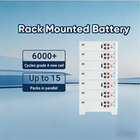 Système de stockage d'énergie modulaire vertical pour résidentiel, batterie empilée 51,2 V 5,12 kWh LiFePO4, unité Powerwall de secours solaire domestique