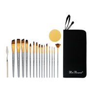 Lot de 17 pinceaux à pointe de peinture avec grattoir et éponge pour artiste avec sac en nylon