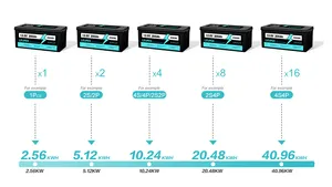 Bms Ingebouwde Lange Levensduur Rv Lifepo4 12V 200ah Diepe Cyclus Lithium Lifepo4 Batterij