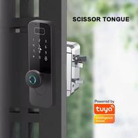 Serrure de porte intelligente extérieure Tuya WiFi avec déverrouillage par reconnaissance faciale et veineuse, en alliage d'aluminium, pour porte en bois, serrure électrique à encastrer sans clé