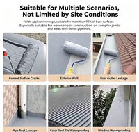 Revêtement Liquide Imperméabilisant Haute Qualité et Durable pour Fissures de Toiture en Béton, Matériaux pour Sols en Ciment et Peinture Murale pour Fenêtres et Toits