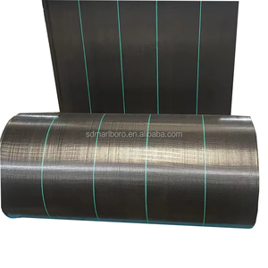 Tela <span class=keywords><strong>geotextil</strong></span> de barrera de malezas tejida PP fuerte personalizada <span class=keywords><strong>malla</strong></span> ecológica para exteriores - Product Image 2