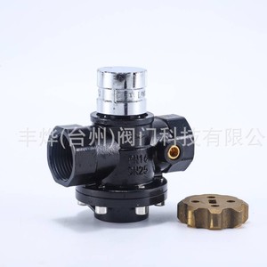 Válvula de Control de Flujo Constante Feng Ye DN25 de Acero Inoxidable 304, Autorregulable Térmica con Bloqueo Magnético - Product Image 2