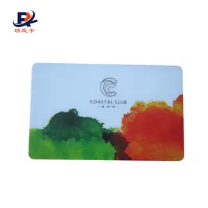 Cartes à puce vierges en PVC de taille standard CR80/cartes d'identité blanches