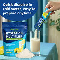 Poudre d'hydratation à marque privée OEM, mélange de boisson électrolytique sans sucre pour l'équilibre électrolytique, sachets de boisson solide électrolytique hydratante