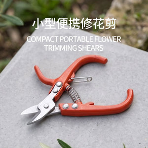 Nice <b>Pruning</b> Shears Stainless Steel 24cm Straight Head Garden <b>Tree</b> Trimming <b>Tool</b> - Product Image 3