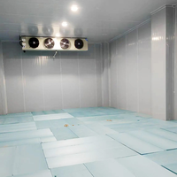 Fournisseur professionnel de grandes chambres froides, solutions logistiques de la chaîne du froid, solutions de stockage frigorifique tout-en-un pour les entrepreneurs et les distributeurs