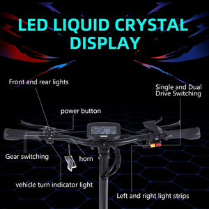 <span class=keywords><strong>Mi</strong></span>ễn phí vận chuyển chúng tôi ca anh kho động cơ kép 60V 38AH mạnh mẽ Xe tay ga điện tự cân bằng off road e-xe tay ga cho người lớn - Product Image 4