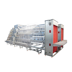 Système d'équipement d'élevage avicole automatique pour cages à poulets de type 3/4 niveaux, capacité de 96 à 160 poulets, pour usage en ferme avicole - Product Image 2