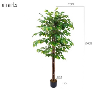 Ficus artificiel Alto Arvore Com Madeira Real Tronco Ficus Bola Arvore Para Decoracao Extérieur <span class=keywords><strong>Intérieur</strong></span> - Product Image 2