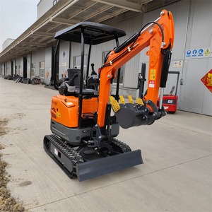Mini Excavadora con Motor, Diseño Chino Rentable - Product Image 1