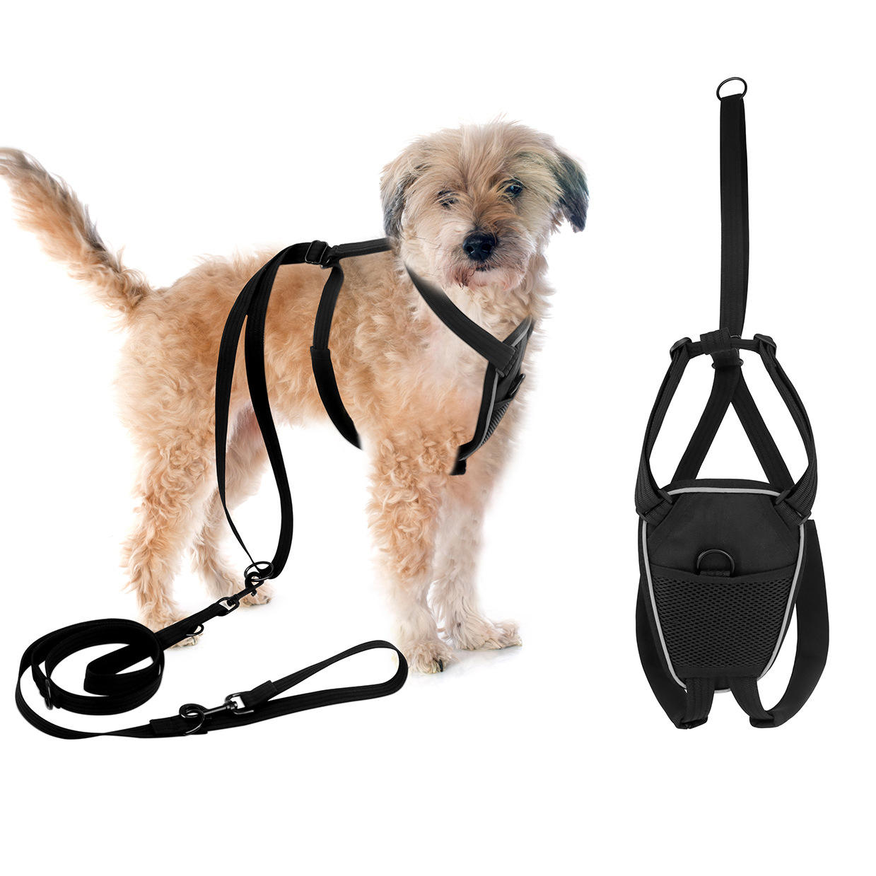 ชุดสายรัดหน้าอกพร้อมเชือกลาก