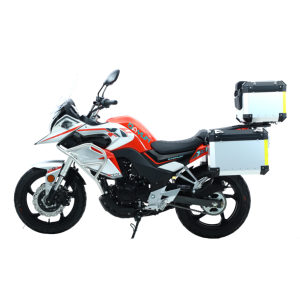 Motocicleta <span class=keywords><strong>DAYUN</strong></span> DY300-XF 300cc, Moto de Turismo con Motor Refrigerado por Líquido - Product Image 1