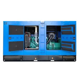 Silent Diesel Generators 250kw Doosan engine Generator Price for Philippines