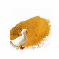 Poudre de levure de brasseurs inactifs de qualité alimentaire comme poudre de levure additive d'alimentation et d'alimentation des animaux