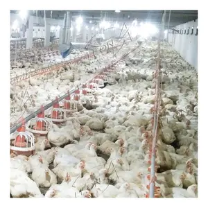 low cost chicken house poultry and farm equipment supplies in nigeria