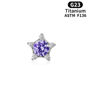 <span class=keywords><strong>Orecchini</strong></span> a stella in zircone in lega di titanio F136 da donna, design scintillante, squisito piercing per l'orecchio, per cartilagine e osso auricolare - Product Image 4