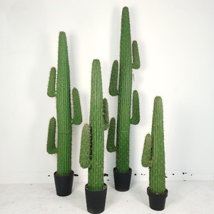 Cactus San <span class=keywords><strong>Pedro</strong></span> Artificial con Espinas Rojas Suaves para Comercialización Visual y Decoración de Oficinas/Hogares/Hotels y Salones de Banquetes - Product Image 2