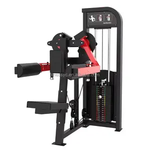 Máquina de fuerza de carga de Pin de gimnasio de fitness comercial ejercicios de Delt trasero máquina de Deltoides trasera