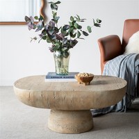 Table basse ovale de style moderne du milieu du siècle avec rangement, facile à nettoyer, meubles de salon