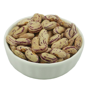 Fábrica OEM ODM Dry Non GMO Light Speckled Pinto Beans Frijoles de riñón rojos y blancos - Product Image 5