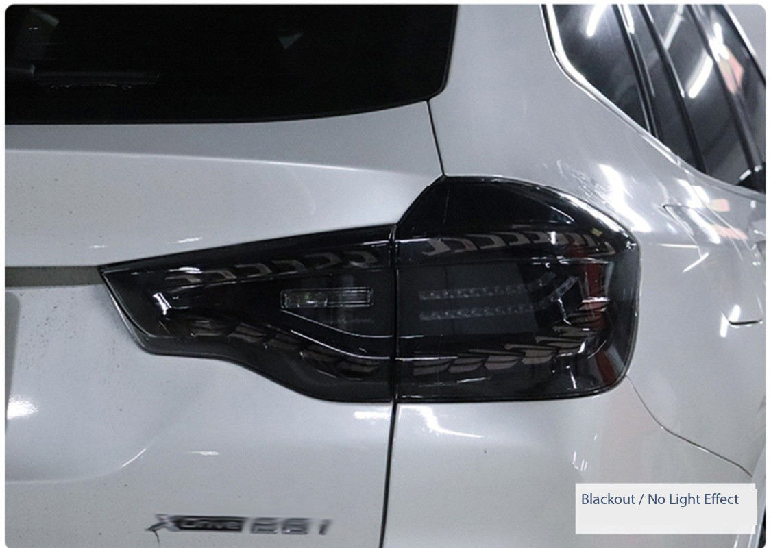 Single dragon scales