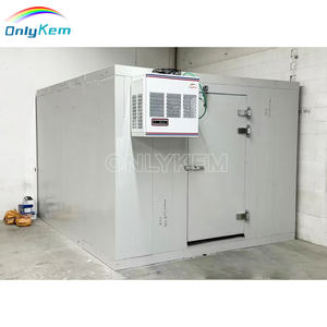 <strong>UK</strong> Standard 3Ton Cooling Capacity Walk-in <strong>Cooler</strong> Door New Condition for Food Store Restaurants Hotels Construction - Product Image 3