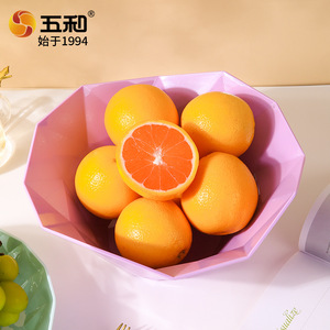 Five And Harmony Fruit <b>Plate</b> Irregular Shape Multi Color Serving Dish For Party Snack Display Light Luxury Style - Product Image 3