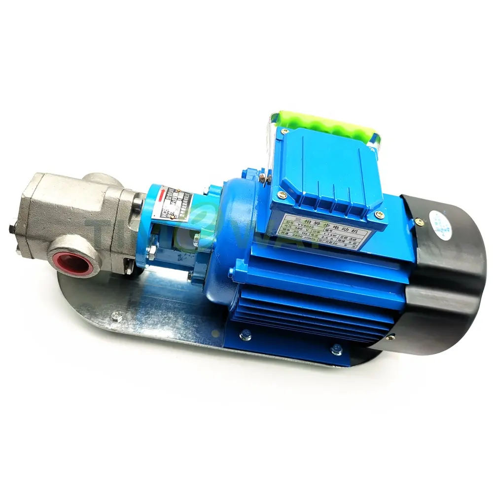 Power 220V/380V Gear Oil Pump with Motor WCB-30P/50P 304 Stainless Steel Fuel Transfer Pump