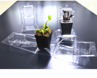 Boîte de transport professionnelle pour plantes succulentes, contenants en plastique transparent, boîte de rangement en PVC