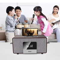 RHM-Sistema de Karaoke en casa, 2 micrófonos inalámbricos todo en uno, amplificador de potencia inalámbrico, altavoz con BT/AUX/USB/COA